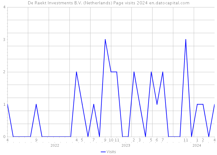 De Raekt Investments B.V. (Netherlands) Page visits 2024 