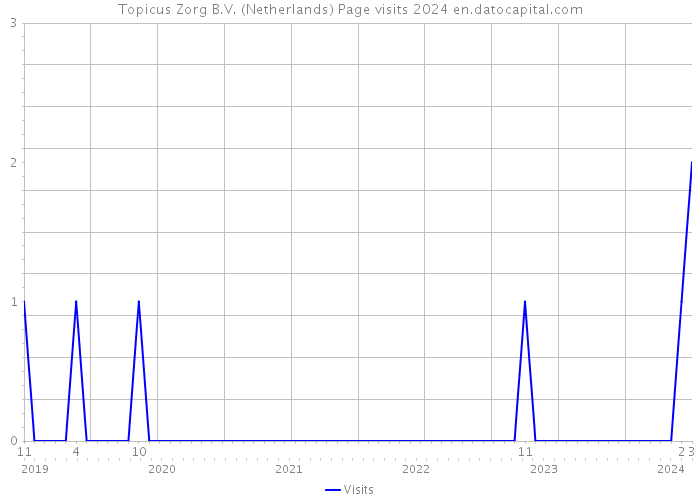 Topicus Zorg B.V. (Netherlands) Page visits 2024 