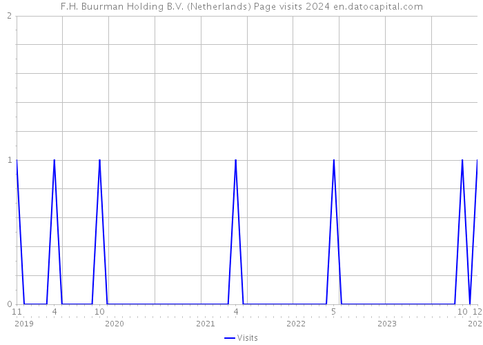 F.H. Buurman Holding B.V. (Netherlands) Page visits 2024 
