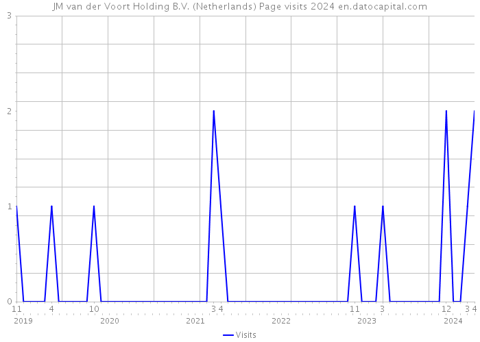 JM van der Voort Holding B.V. (Netherlands) Page visits 2024 