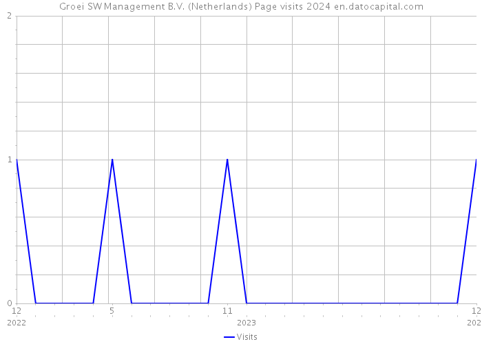 Groei SW Management B.V. (Netherlands) Page visits 2024 