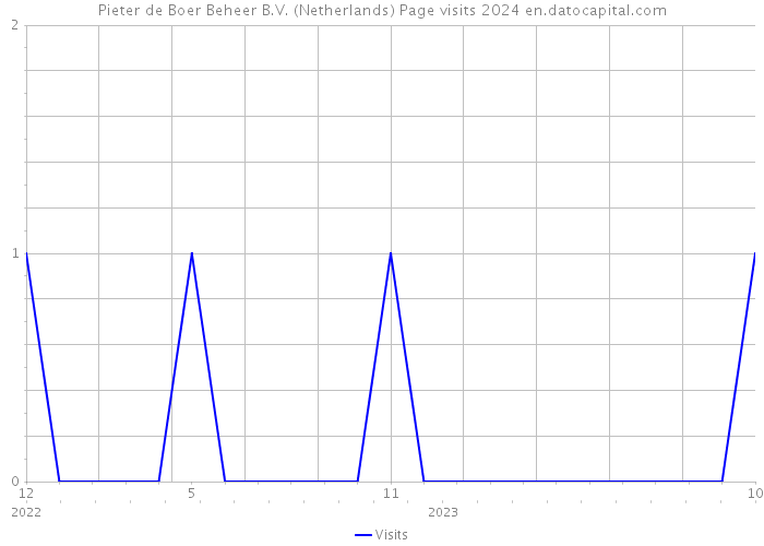 Pieter de Boer Beheer B.V. (Netherlands) Page visits 2024 