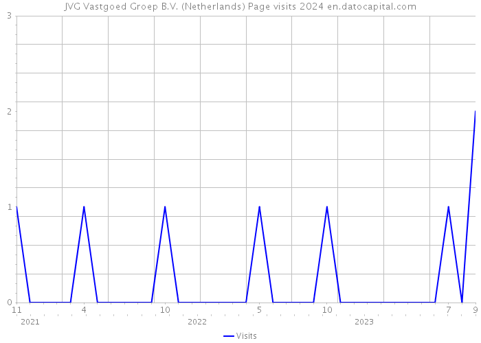 JVG Vastgoed Groep B.V. (Netherlands) Page visits 2024 
