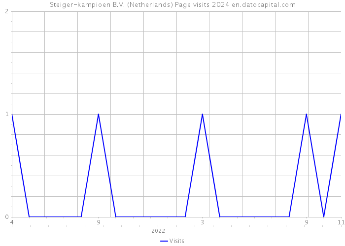 Steiger-kampioen B.V. (Netherlands) Page visits 2024 