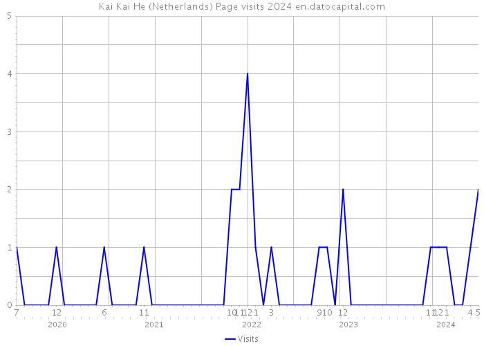 Kai Kai He (Netherlands) Page visits 2024 