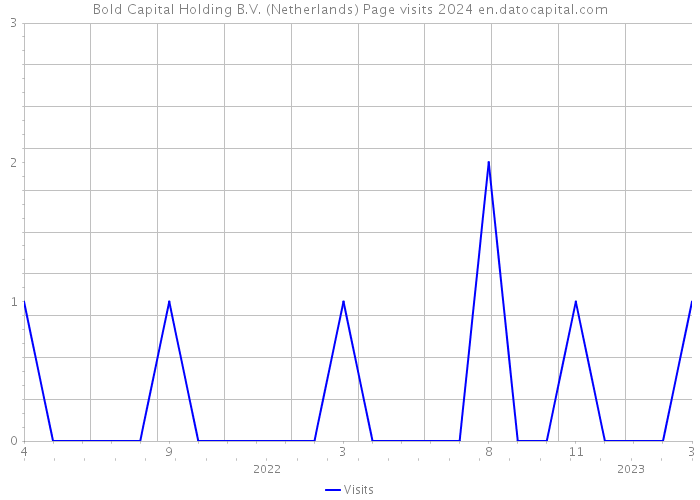 Bold Capital Holding B.V. (Netherlands) Page visits 2024 