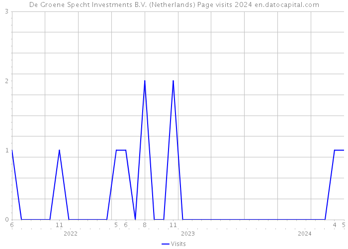 De Groene Specht Investments B.V. (Netherlands) Page visits 2024 