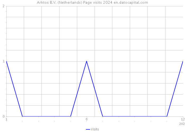 Arktos B.V. (Netherlands) Page visits 2024 