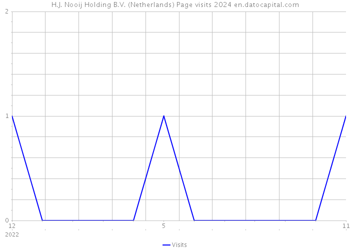 H.J. Nooij Holding B.V. (Netherlands) Page visits 2024 