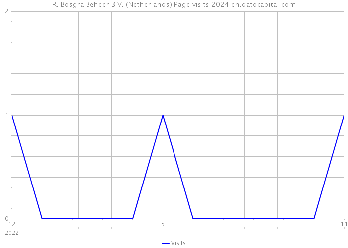 R. Bosgra Beheer B.V. (Netherlands) Page visits 2024 