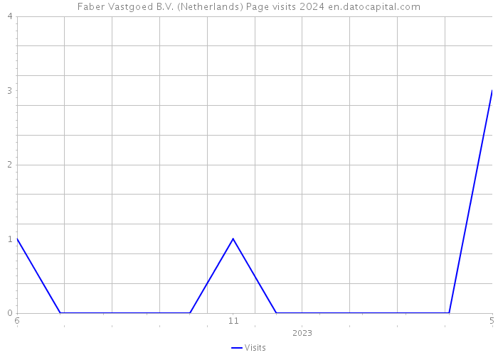 Faber Vastgoed B.V. (Netherlands) Page visits 2024 