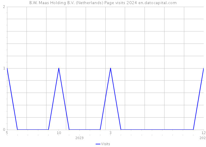 B.W. Maas Holding B.V. (Netherlands) Page visits 2024 