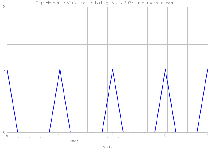 Giga Holding B.V. (Netherlands) Page visits 2024 