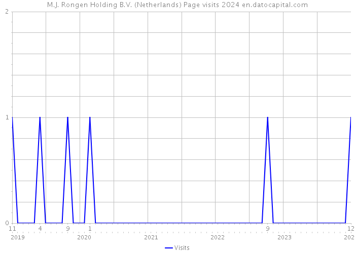 M.J. Rongen Holding B.V. (Netherlands) Page visits 2024 