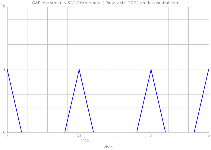 G&P Investments B.V. (Netherlands) Page visits 2024 