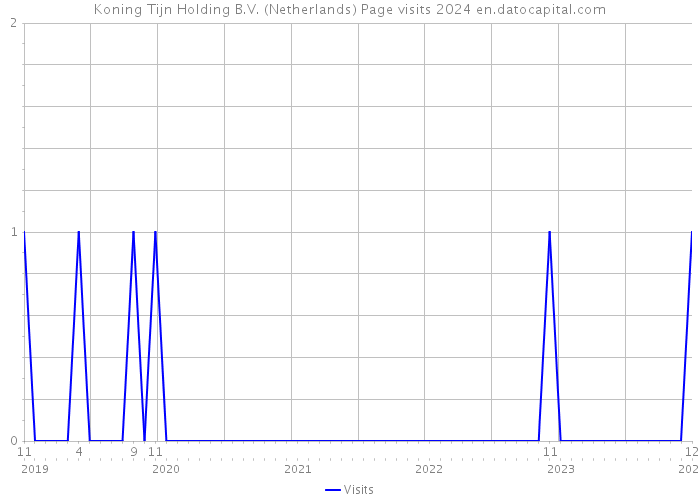 Koning Tijn Holding B.V. (Netherlands) Page visits 2024 