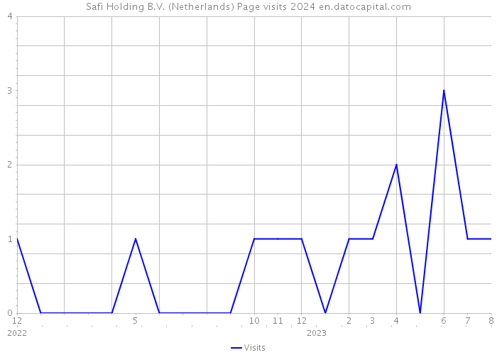 Safi Holding B.V. (Netherlands) Page visits 2024 