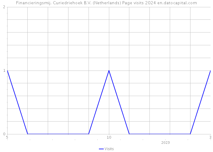 Financieringsmij. Curiedriehoek B.V. (Netherlands) Page visits 2024 