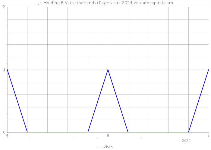 Jr. Holding B.V. (Netherlands) Page visits 2024 