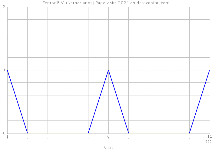 Zentor B.V. (Netherlands) Page visits 2024 