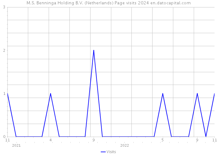 M.S. Benninga Holding B.V. (Netherlands) Page visits 2024 