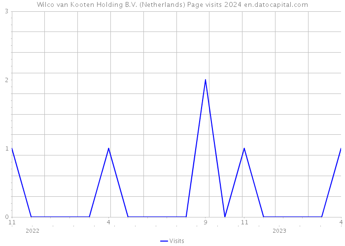 Wilco van Kooten Holding B.V. (Netherlands) Page visits 2024 