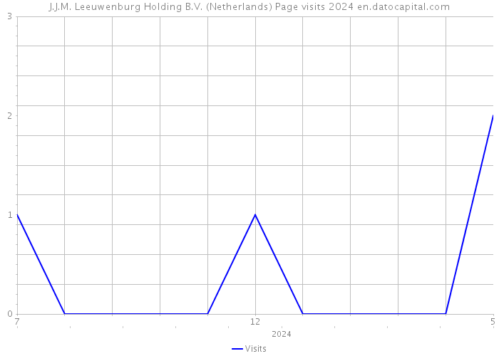 J.J.M. Leeuwenburg Holding B.V. (Netherlands) Page visits 2024 