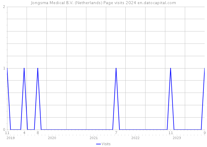 Jongsma Medical B.V. (Netherlands) Page visits 2024 