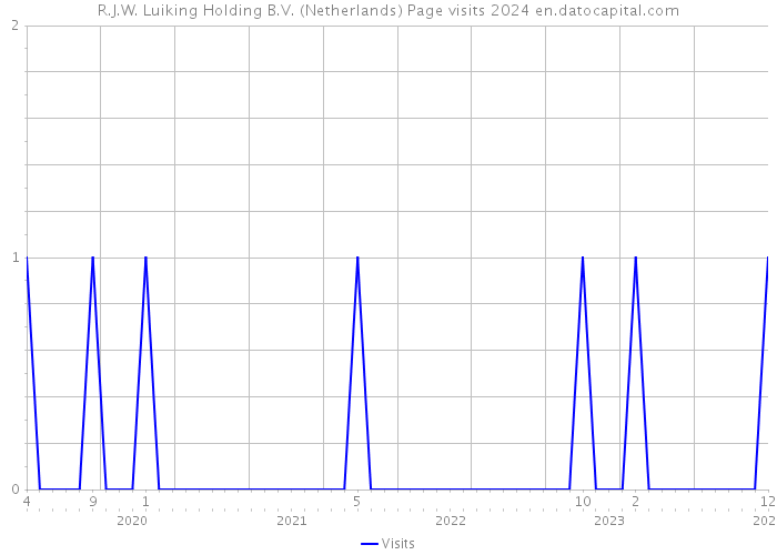 R.J.W. Luiking Holding B.V. (Netherlands) Page visits 2024 