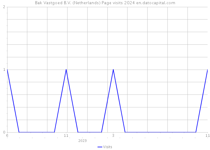 Bak Vastgoed B.V. (Netherlands) Page visits 2024 