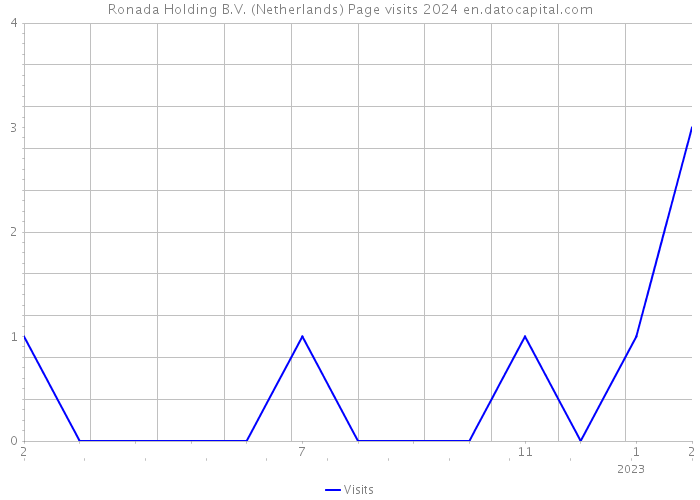 Ronada Holding B.V. (Netherlands) Page visits 2024 