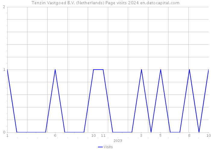 Tenzin Vastgoed B.V. (Netherlands) Page visits 2024 