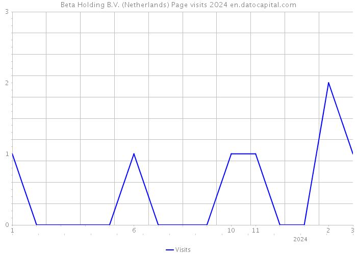 Beta Holding B.V. (Netherlands) Page visits 2024 