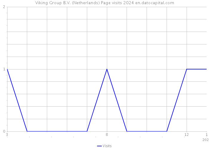 Viking Group B.V. (Netherlands) Page visits 2024 