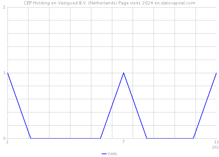 CEP Holding en Vastgoed B.V. (Netherlands) Page visits 2024 