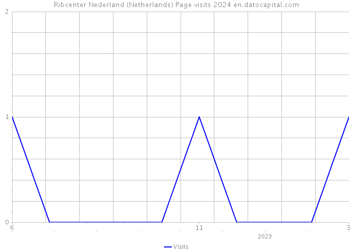 Ribcenter Nederland (Netherlands) Page visits 2024 