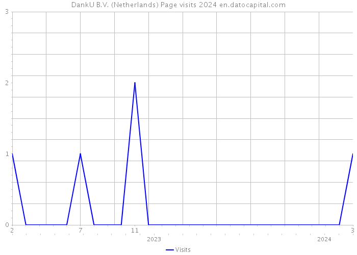 DankU B.V. (Netherlands) Page visits 2024 