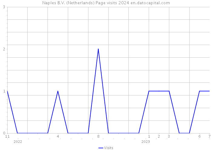 Naples B.V. (Netherlands) Page visits 2024 