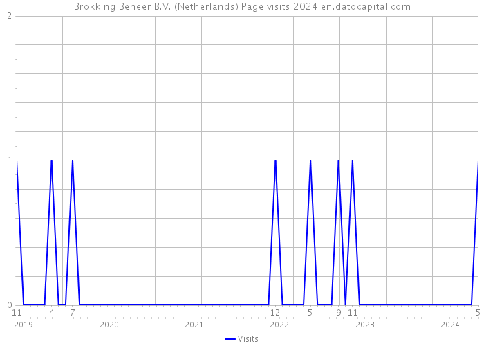 Brokking Beheer B.V. (Netherlands) Page visits 2024 