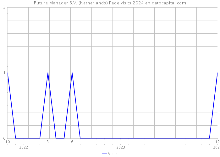 Future Manager B.V. (Netherlands) Page visits 2024 