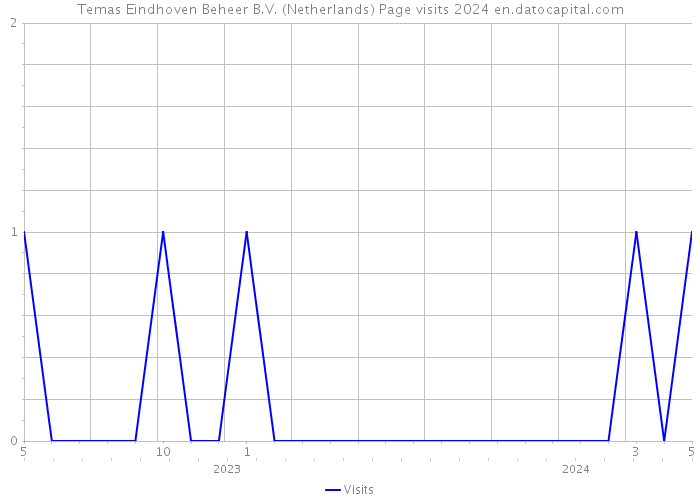 Temas Eindhoven Beheer B.V. (Netherlands) Page visits 2024 