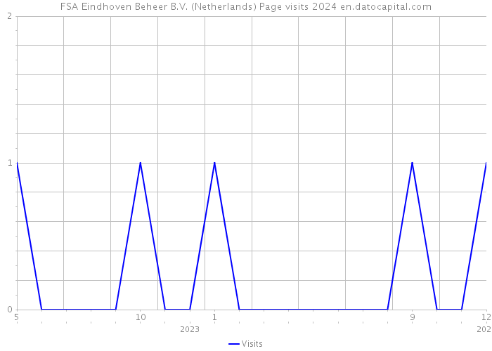 FSA Eindhoven Beheer B.V. (Netherlands) Page visits 2024 