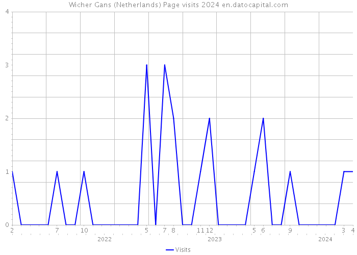 Wicher Gans (Netherlands) Page visits 2024 