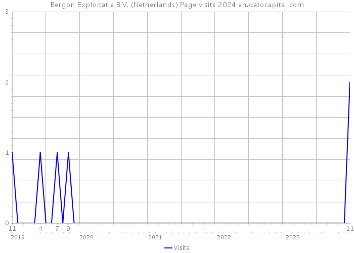Bergon Exploitatie B.V. (Netherlands) Page visits 2024 