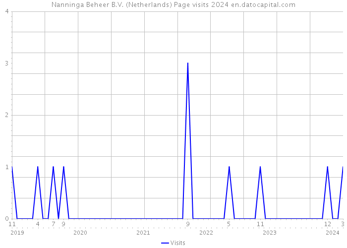 Nanninga Beheer B.V. (Netherlands) Page visits 2024 