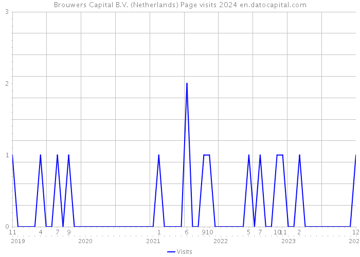 Brouwers Capital B.V. (Netherlands) Page visits 2024 