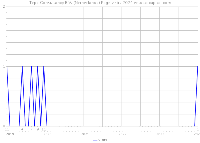 Tepe Consultancy B.V. (Netherlands) Page visits 2024 