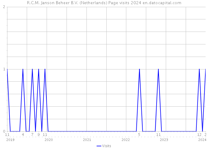 R.C.M. Janson Beheer B.V. (Netherlands) Page visits 2024 