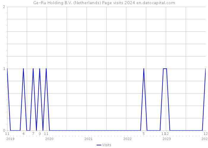 Ge-Ru Holding B.V. (Netherlands) Page visits 2024 
