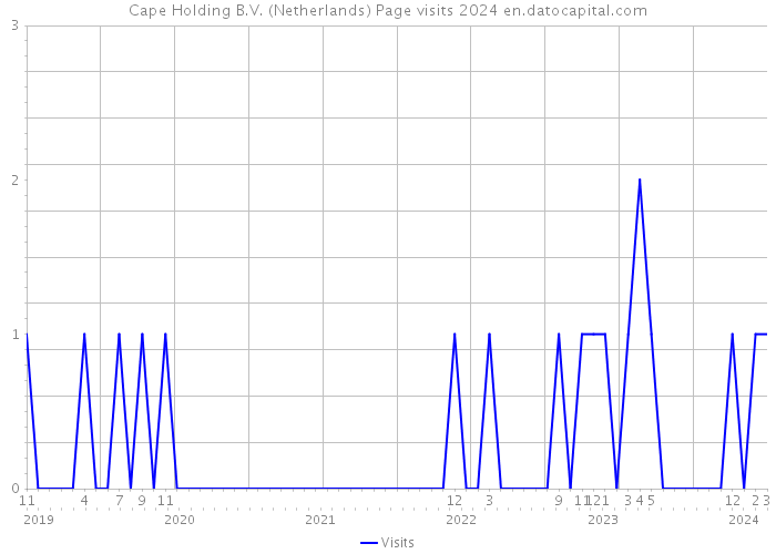 Cape Holding B.V. (Netherlands) Page visits 2024 